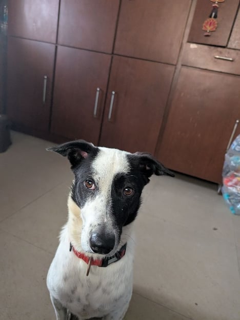 Post by Aswani Kumar