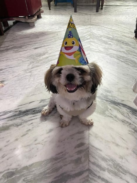 Post by Santharao Nowpada