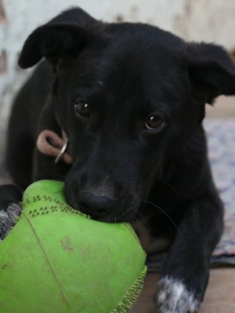 Post by Ketaki Ingle