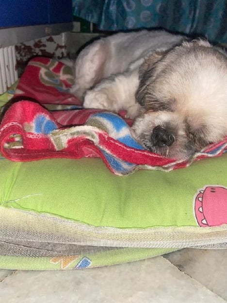 Post by Santharao Nowpada