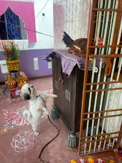 Post by Santharao Nowpada