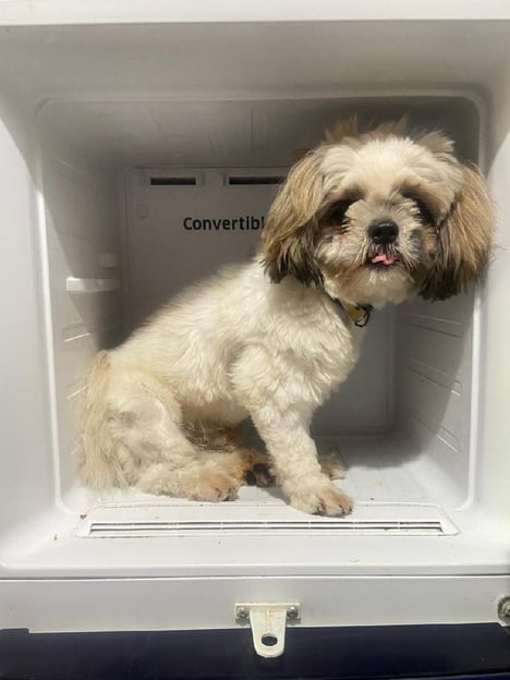 Post by Santharao Nowpada