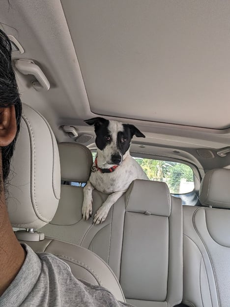 Post by Aswani Kumar