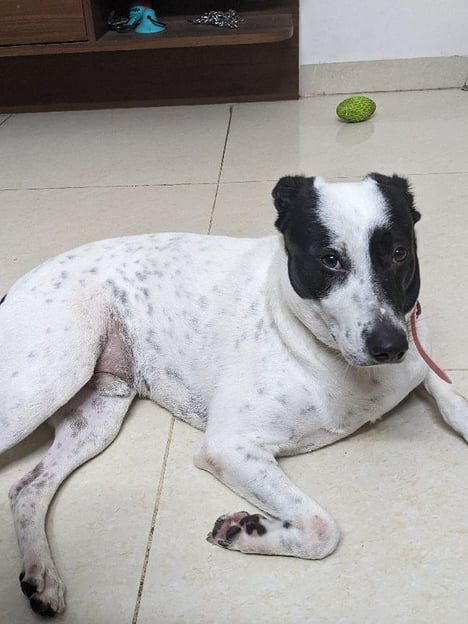 Post by Aswani Kumar