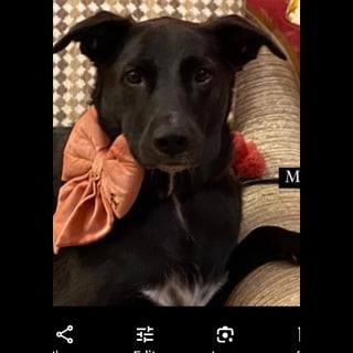 Mac - Indie from Nagpur